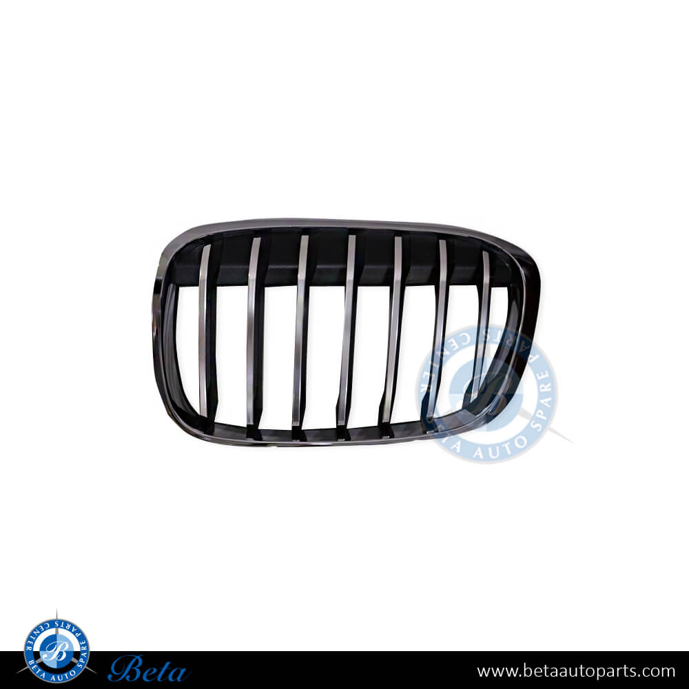 Left Side Grille X-Line for BMW X1 F48 2016-2019 models, Part Number 51117383365 Left Side Grille X-Line for BMW X1 F48 2016-2019 models, Part Number 51117383365